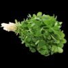 Methi (250g)