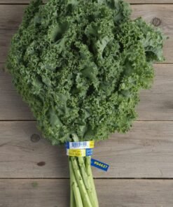Green Kale 100 gm